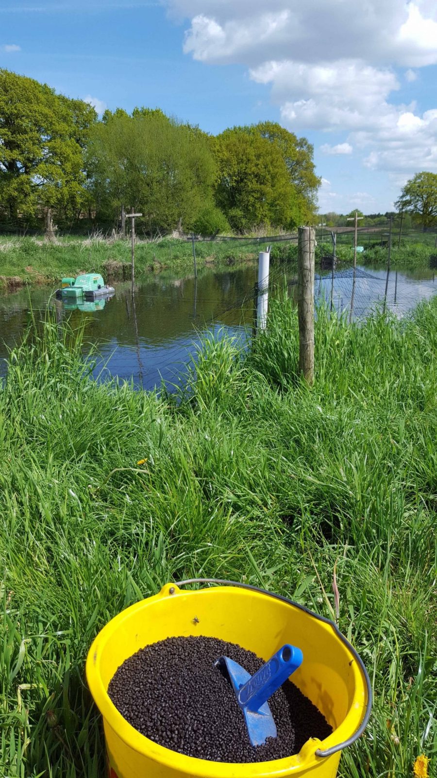 Automatisierte Fütterung Fischzucht Reese Green Chef