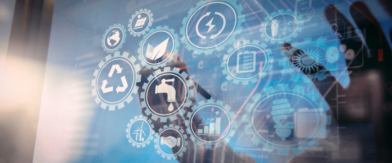 Green Chefs Werk und unser Beitrag