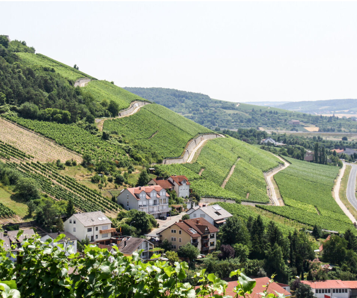 Weingut Schmachtenberger - Lage