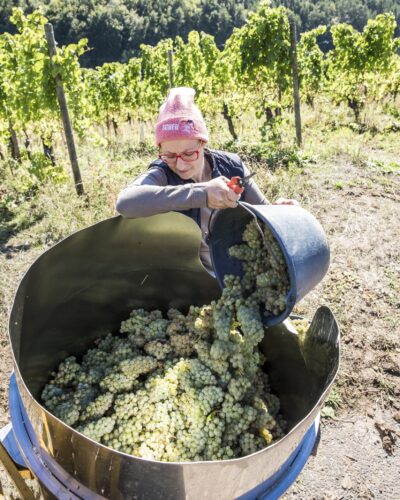 Ilonka Scheuring, Winzerin Weinbauerin in Margetshöchheim bei Würzburg